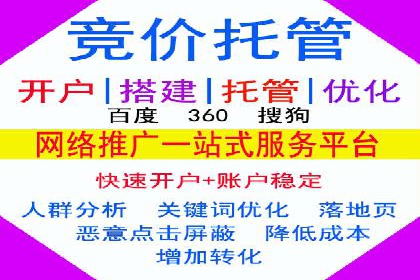 SEM竞价代运营：案例展示数据分析与应用